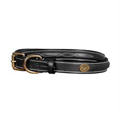 Collier Pour Chien Fancy Dy'on Noir
