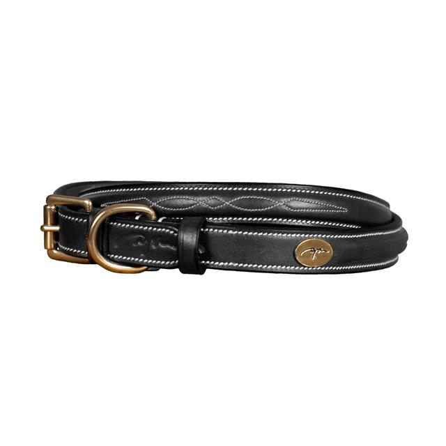 Collier Pour Chien Fancy Dy'on Noir