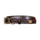Collier Pour Chien Flat Leather Dy'on Marron