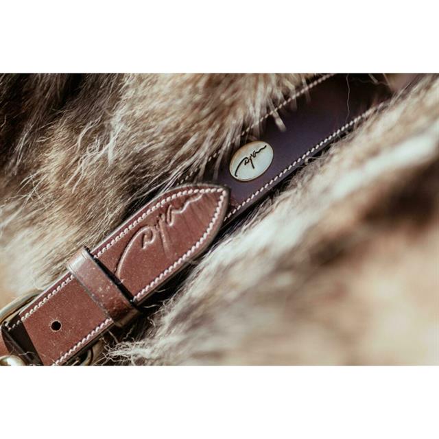 Collier Pour Chien Flat Leather Dy'on Marron