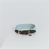 Collier pour chien Jacquard Kentucky Bleu clair