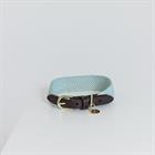 Collier pour chien Jacquard Kentucky Bleu clair