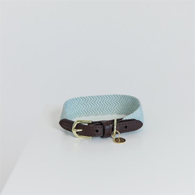 Collier pour chien Jacquard Kentucky Bleu clair