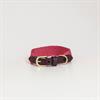 Collier pour chien Jacquard Kentucky Rose