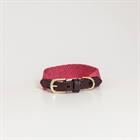Collier pour chien Jacquard Kentucky Rose