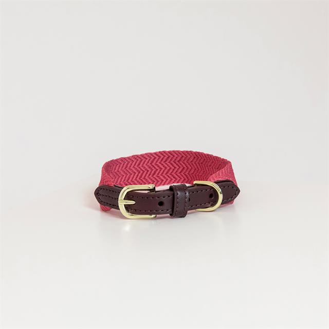 Collier pour chien Jacquard Kentucky Rose