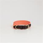Collier pour chien Jacquard Kentucky Rouge clair