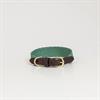 Collier pour chien Jacquard Kentucky Vert