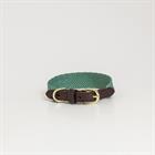 Collier pour chien Jacquard Kentucky Vert