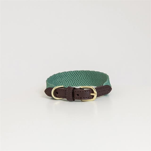 Collier pour chien Jacquard Kentucky Vert