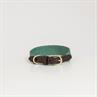 Collier pour chien Jacquard Kentucky Vert