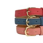 Collier pour chien Kentukcy Vegan Leather Kentucky Rose