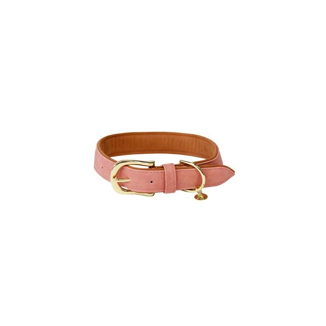 Collier pour chien Kentukcy Vegan Leather Kentucky Rose