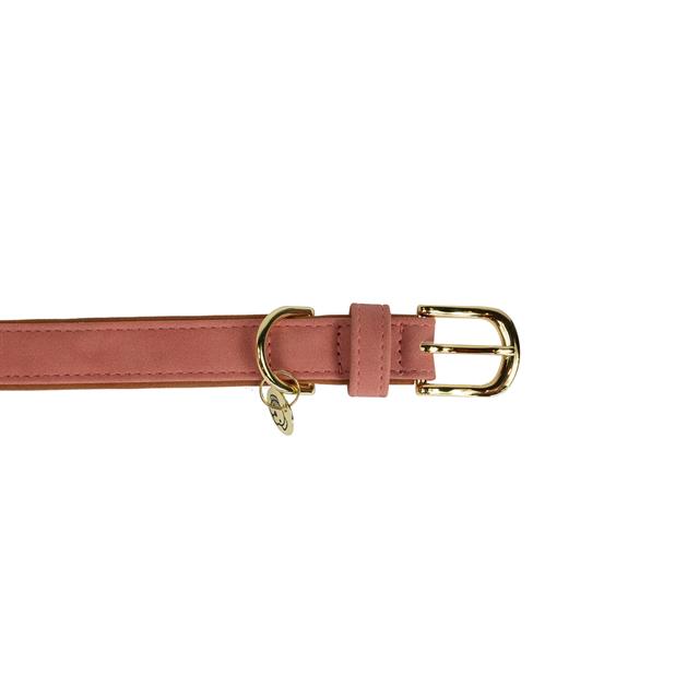 Collier pour chien Kentukcy Vegan Leather Kentucky Rose