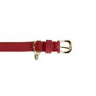 Collier pour chien Kentukcy Vegan Leather Kentucky Rouge clair