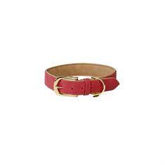 Collier pour chien Kentukcy Vegan Leather Kentucky Rouge clair