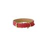 Collier pour chien Kentukcy Vegan Leather Kentucky Rouge clair