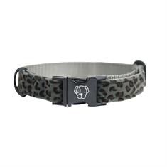 Collier pour chien Leopard Kentucky Gris