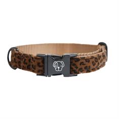 Collier pour chien Leopard Kentucky Marron