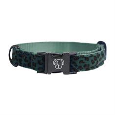 Collier pour chien Leopard Kentucky Vert