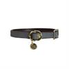 Collier pour chien Loop Kentucky Gris