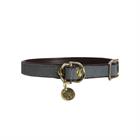 Collier pour chien Loop Kentucky Gris