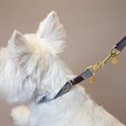 Collier pour chien Loop Kentucky Gris