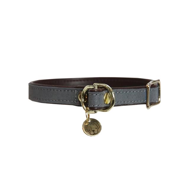 Collier pour chien Loop Kentucky Gris