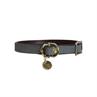 Collier pour chien Loop Kentucky Gris
