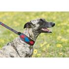 Collier pour chien Lurcher WeatherBeeta Multicolor