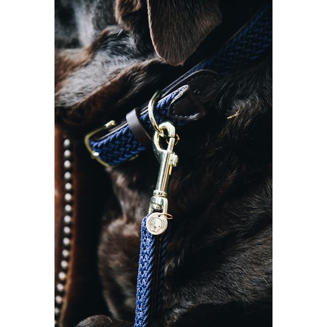 Collier pour chien tressée Nylon Kentucky Bleu foncé