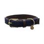 Collier pour chien tressée Nylon Kentucky Bleu clair