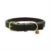 Collier pour chien tressée Nylon Kentucky Vert moyen