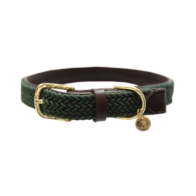 Collier pour chien tressée Nylon Kentucky Vert moyen