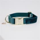 Collier pour chien Velvet Kentucky Vert foncé