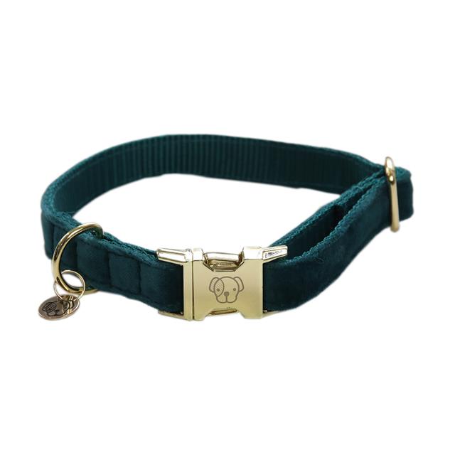 Collier pour chien Velvet Kentucky Vert foncé