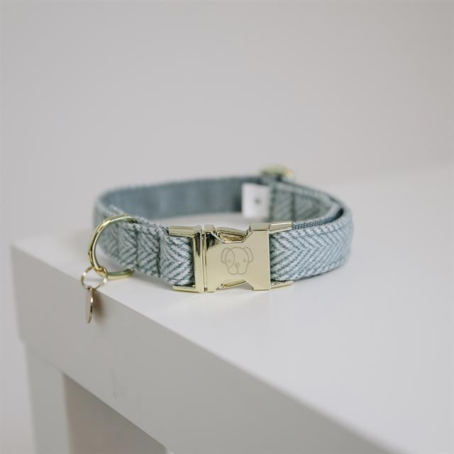 Collier pour chien Wool Kentucky Bleu clair