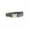Collier pour chien Wool Kentucky Gris