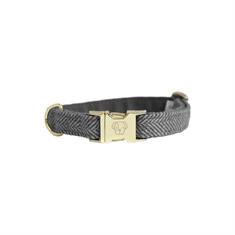 Collier pour chien Wool Kentucky Gris