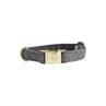 Collier pour chien Wool Kentucky Gris