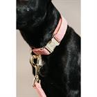 Collier pour chien Wool Kentucky Rose clair