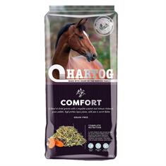 Comfort Hartog
