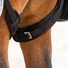 Courroie de queue Protège-boulets 2-Pack QHP Noir