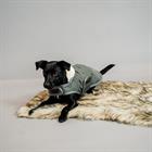 Coussin pour chien Fuzzy To Go Kentucky Marron