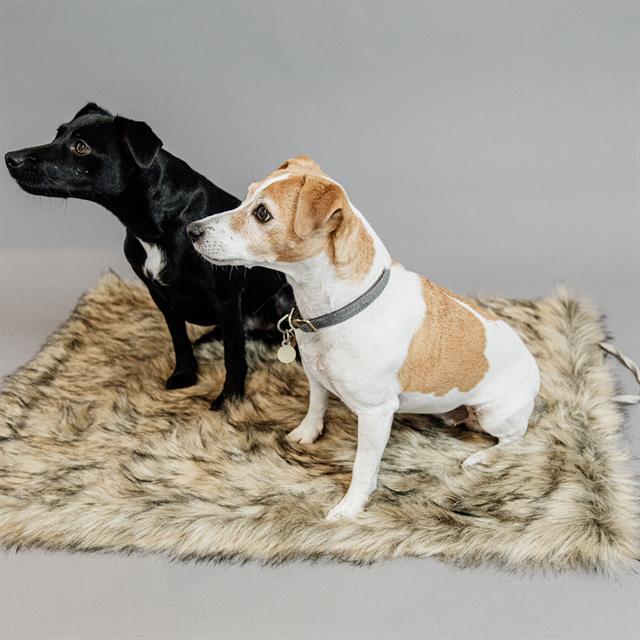 Coussin pour chien Fuzzy To Go Kentucky Marron