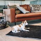 Coussin pour chien Travel In Style Kentucky Gris
