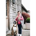Coussin pour chien Travel In Style Kentucky Gris