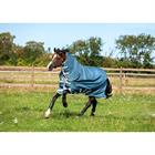 Couverture Amigo Ameco 1200D Plus Turnout 0 gr Horseware Gris foncé