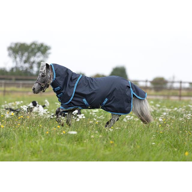 Couverture Amigo Hero 6 Petite Plus 200g Horseware Bleu foncé-bleu