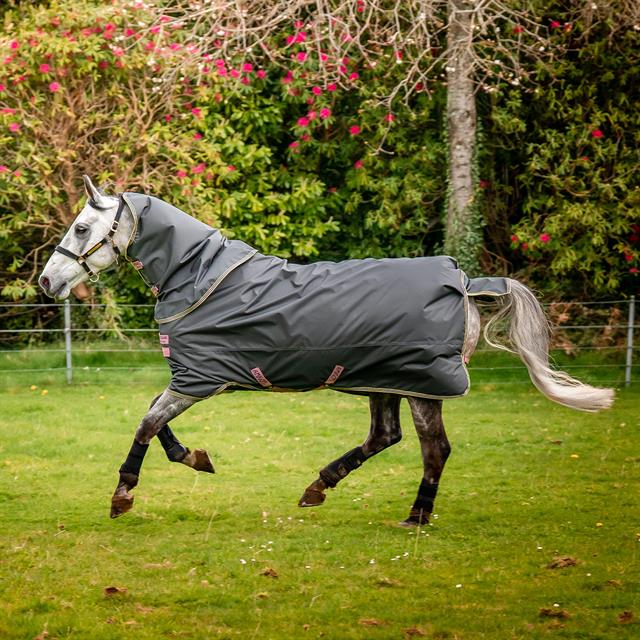 Couverture Amigo Hero Plus Lite 0g Horseware Gris foncé-rose